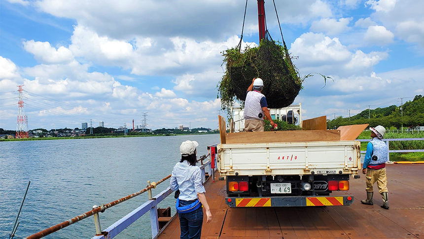 ボートに載せた外来水生植物を桟橋のトラックに載せる様子