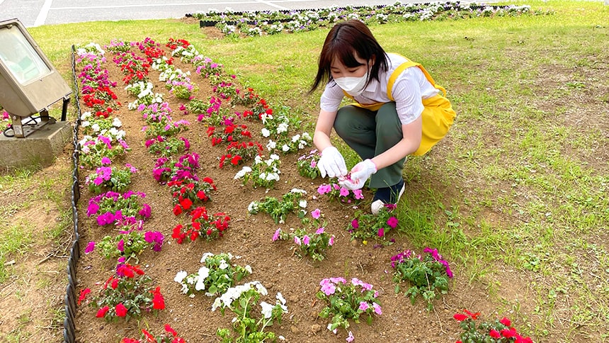 我孫子駅北口美化運動に参加し花壇の整備をおこなう水野ゆうき