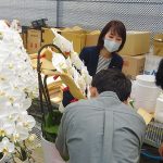 帝人ソレイユ・ポレポレファームを視察する水野ゆうき