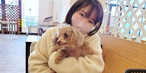 水野友貴の動物愛護の政策実績