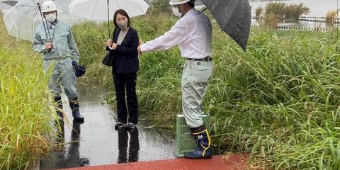 水野ゆうきの実績「手賀沼湖岸堤防整備」のトップ画像