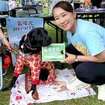 『あびこ産業まつり』にて盲導犬の普及啓発活動を担当する水野ゆうき