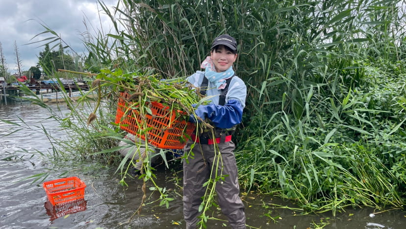外来水生植物を駆除している水野ゆうき